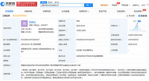 新東方拓展西藏市場(chǎng) 成立互聯(lián)網(wǎng)銷售子公司，注冊(cè)資本100萬元
